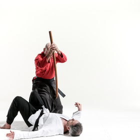 Hapkido 3 — figure reference